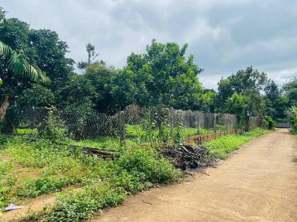 Đất nền Hòa Thắng Buôn Ma Thuột 125m² giá 8xx triệu - Sổ đỏ chính chủ