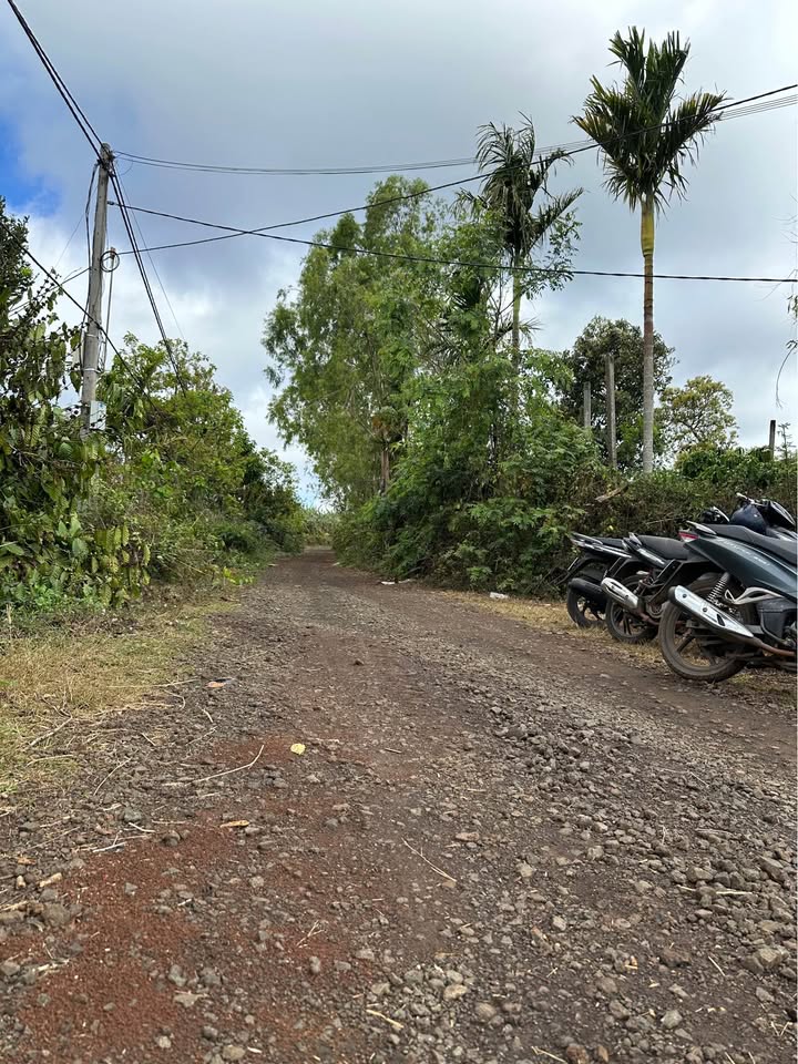 Bán Đất Vườn Đắk Lắk 1080m² - Sổ Hồng Sẵn Sàng