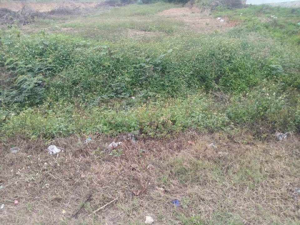 Đất Nền Mặt Tiền TL9 Krông Bông - 406m² Kinh Doanh Sầm Uất, Giá 1.7 Tỷ