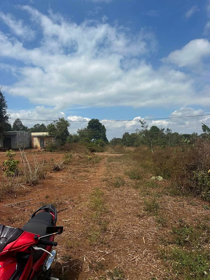 Đất nền Cư M'gar 125m² chỉ 350 triệu - Đường to ô tô!