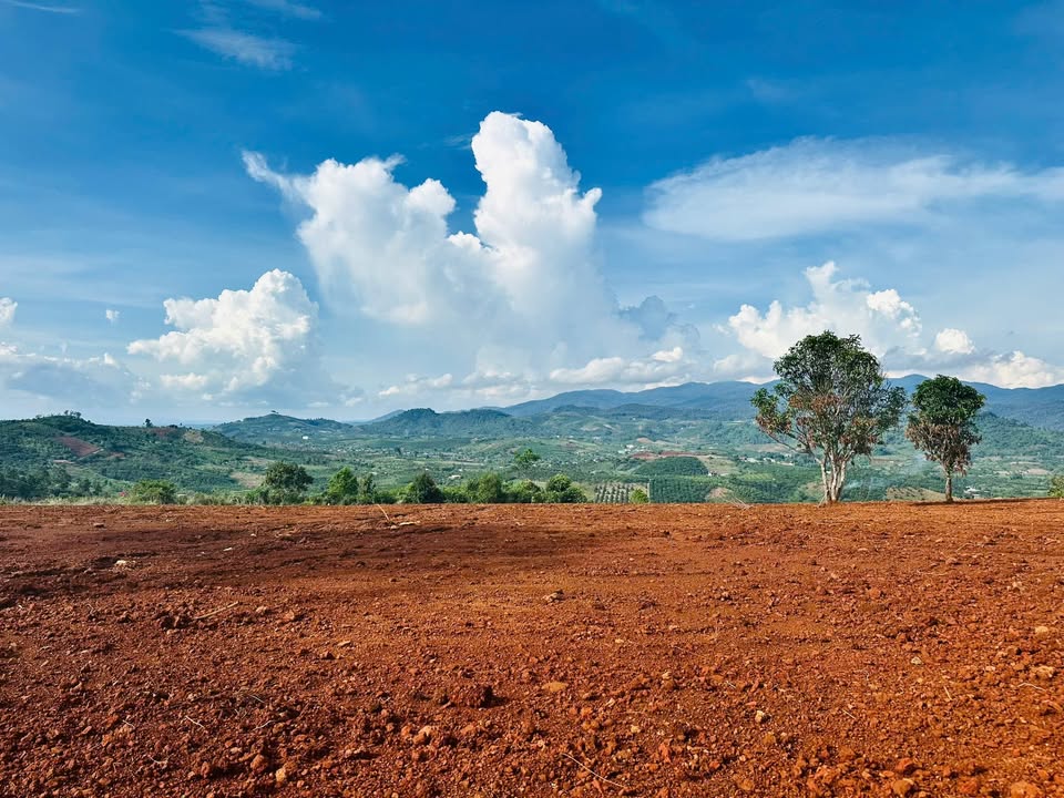 Đất nền Lộc Bắc, Bảo Lâm - 4500m² giá 6.75 tỷ, sổ đỏ sẵn sàng