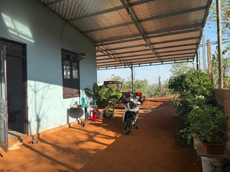 Đất nền Thị trấn Đức An 350m² giá 1.6 tỷ - Sổ đỏ chính chủ!