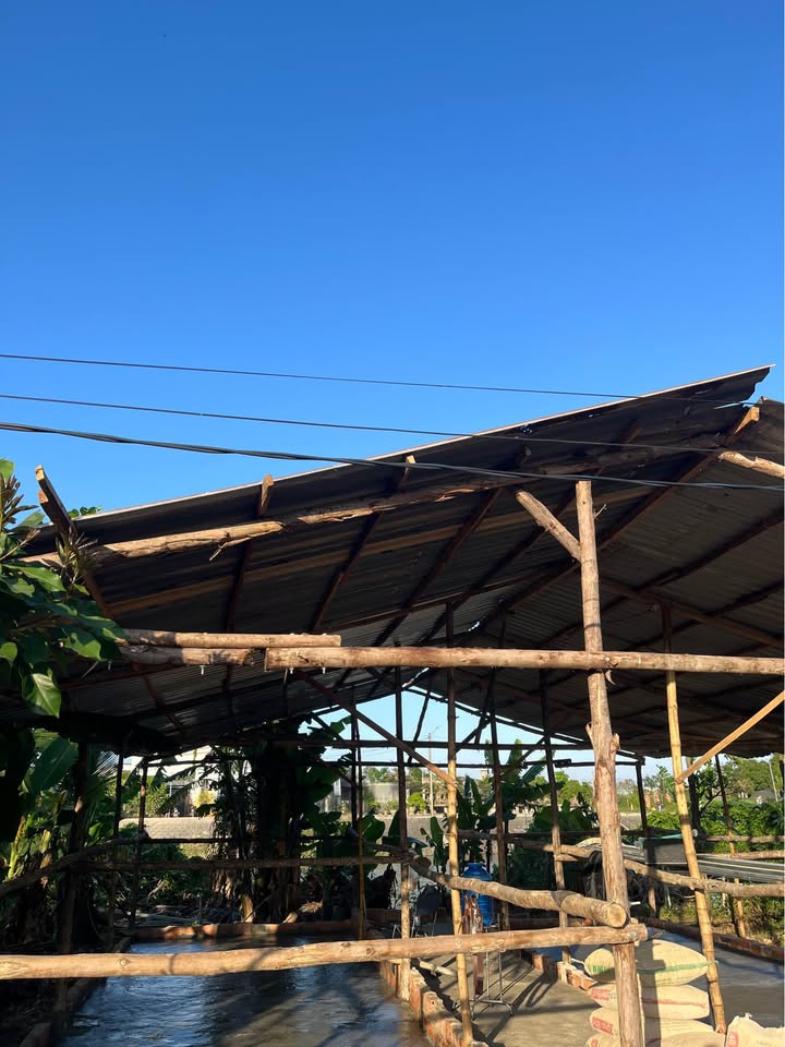 Đất Góc 2 Mặt Tiền Tuy Phước 161m² Sổ Đỏ - Giá Đầu Tư 2.35 Tỷ