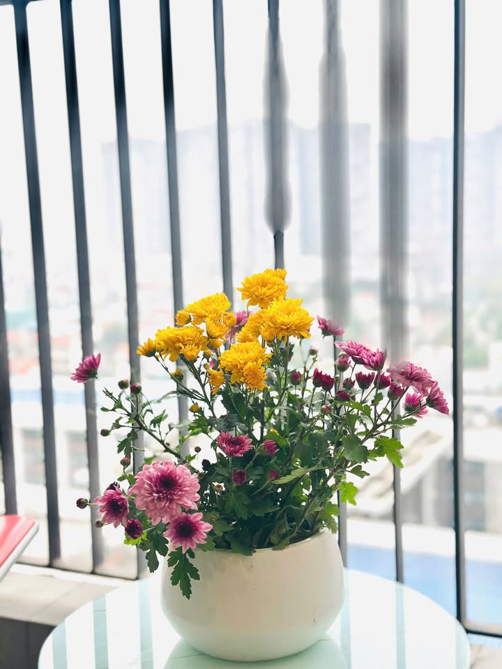 Cho thuê căn hộ 1PN+ 48m² full nội thất tại S1.03, Long Biên - Giá 7.5 triệu/tháng