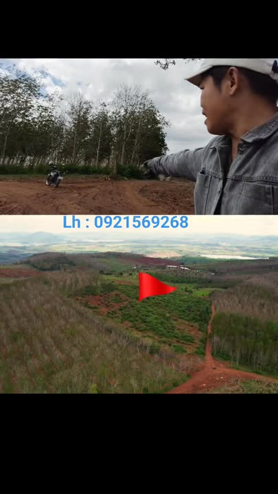 Bán Gấp 2.1 Ha Đất Đỏ Sông Hinh - View Thị Trấn Hai Riêng