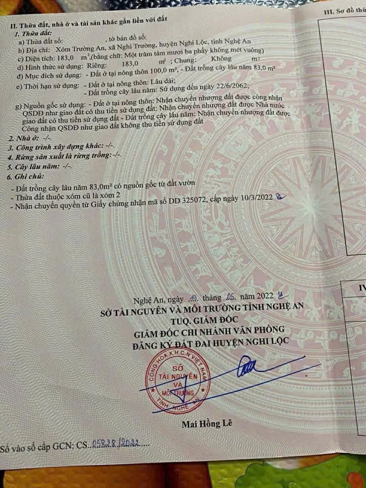Đất nền Nghi Trường, Nghi Lộc 183m² - Đường to ô tô, tiềm năng tăng giá!