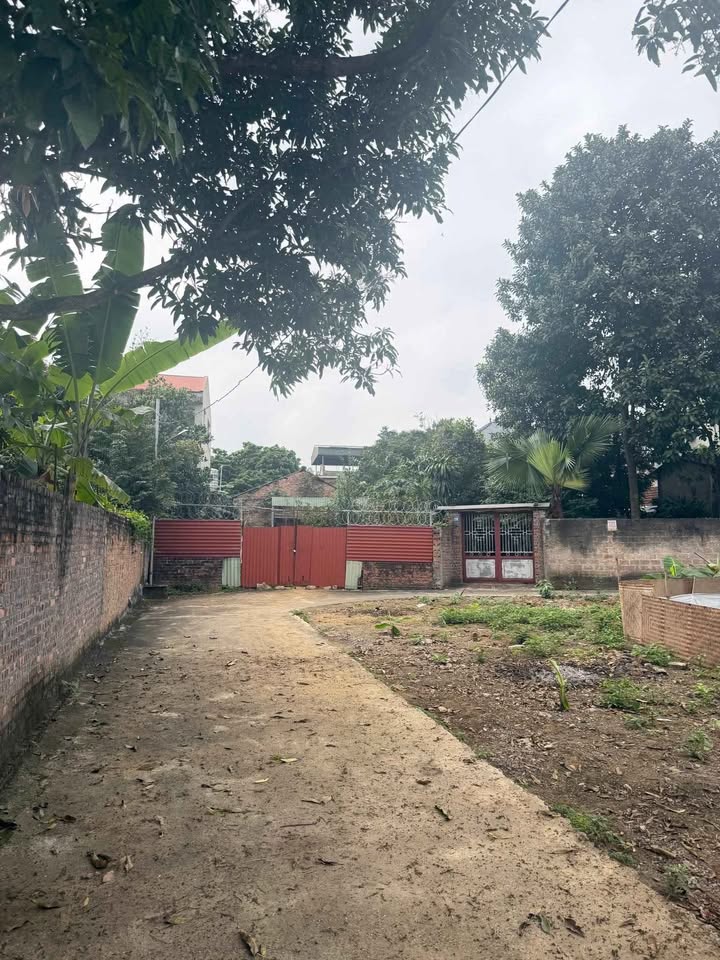 Đất nền Phường Việt Trì 100m² dưới 3 tỷ - Sổ đỏ chính chủ!