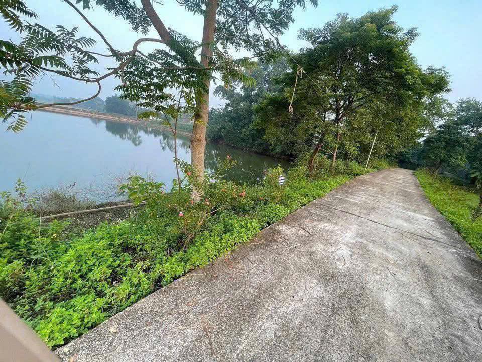 Đất nền Tam Sơn Sông Lô 167m² - Tiềm năng tăng giá vượt trội!