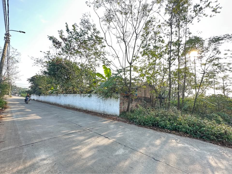 Đất nền Thanh Vân, Tam Dương 80m² - Sổ đỏ chính chủ!