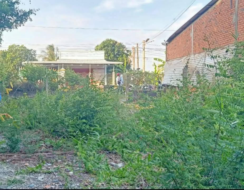 Đất nền mặt tiền Ba Tri 566m² - Kinh doanh đắc lợi, giá chỉ 1.5 tỷ