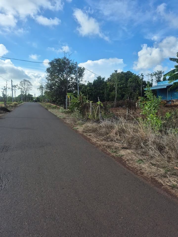 Đất nền Xã Đá Bạc, Châu Đức 155m² - Sổ đỏ sẵn, giá 520 triệu