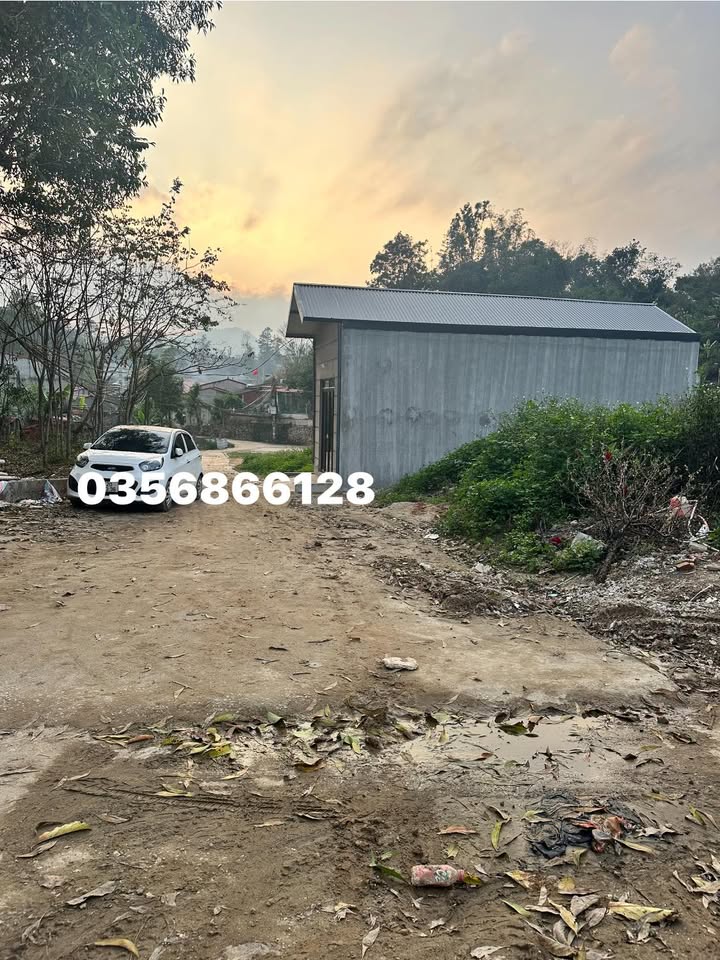 Bán Đất Nền 80m² Ngõ 19 Thác Trà - Hướng Đông Mát Mẻ