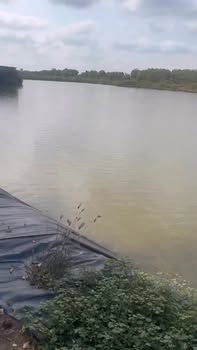 Bán Gấp 40.000m² Đất NTTS Vĩnh Long - Giá 7 Tỷ