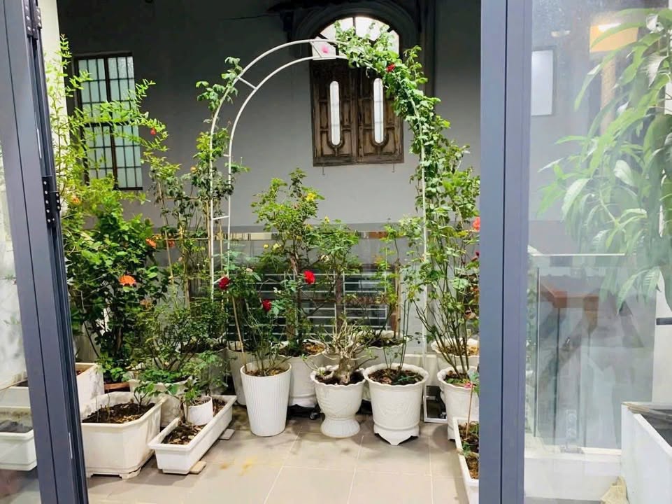 Nhà Phố 63m² Trấn Biên - Quang Vinh, 3PN, 3.2 Tỷ - Sẵn Sàng Đón Chủ Mới