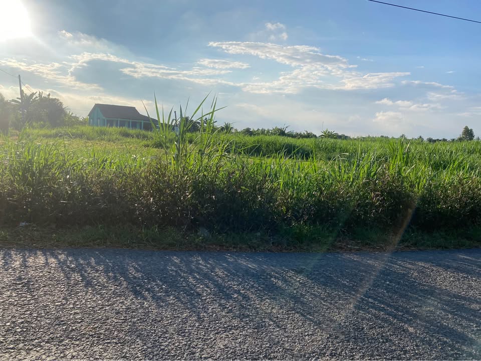 Đất Nền Gò Công Tây 221m² - Sổ Đỏ Sẵn Sàng - Giá Tốt 550 Triệu