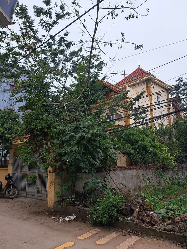 Nhà 2.5 Tầng 239m² Văn Phú, Thường Tín - Sân Đậu 2 Ô Tô, An Ninh Tốt