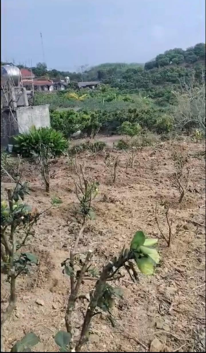 Đất Vàng Lục Ngạn, Bắc Giang - 400m² Thổ Cư, Sổ Đỏ Riêng, Giá Chỉ 5 Tỷ!