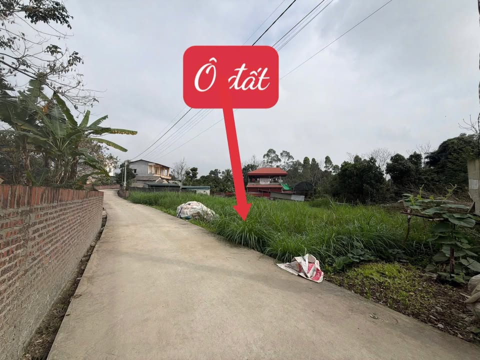 Đất nền Xuân Phong, Lập Thạch 200m² - Giá tốt hiếm có!