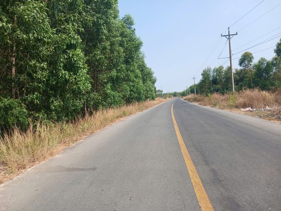 Đất Lương Định Của Tân Bình 2.400m² 110 triệu/m ngang - Đường ô tô