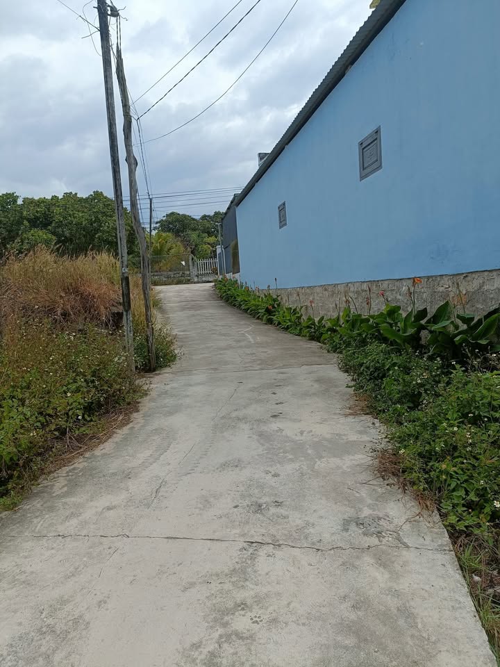 Đất nền La Gi 160m² 1.1 tỷ - Sổ đỏ chính chủ