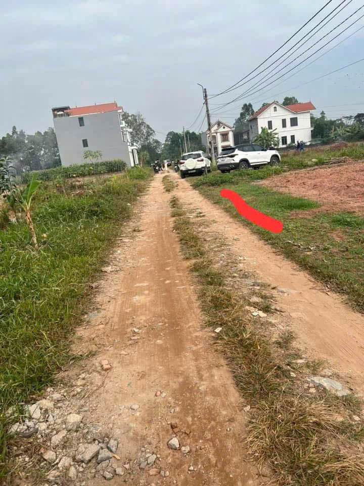 Bán đất nền Trầm Lình, Việt Trì 120m² - Sổ đỏ sẵn sàng, gần Bệnh viện Việt Đức