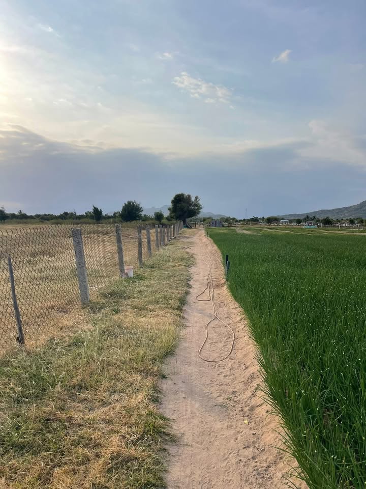 Đất Vườn Vĩnh Hải, Nha Trang 3492m² - Đầu tư dài hạn, sổ đỏ chính chủ!