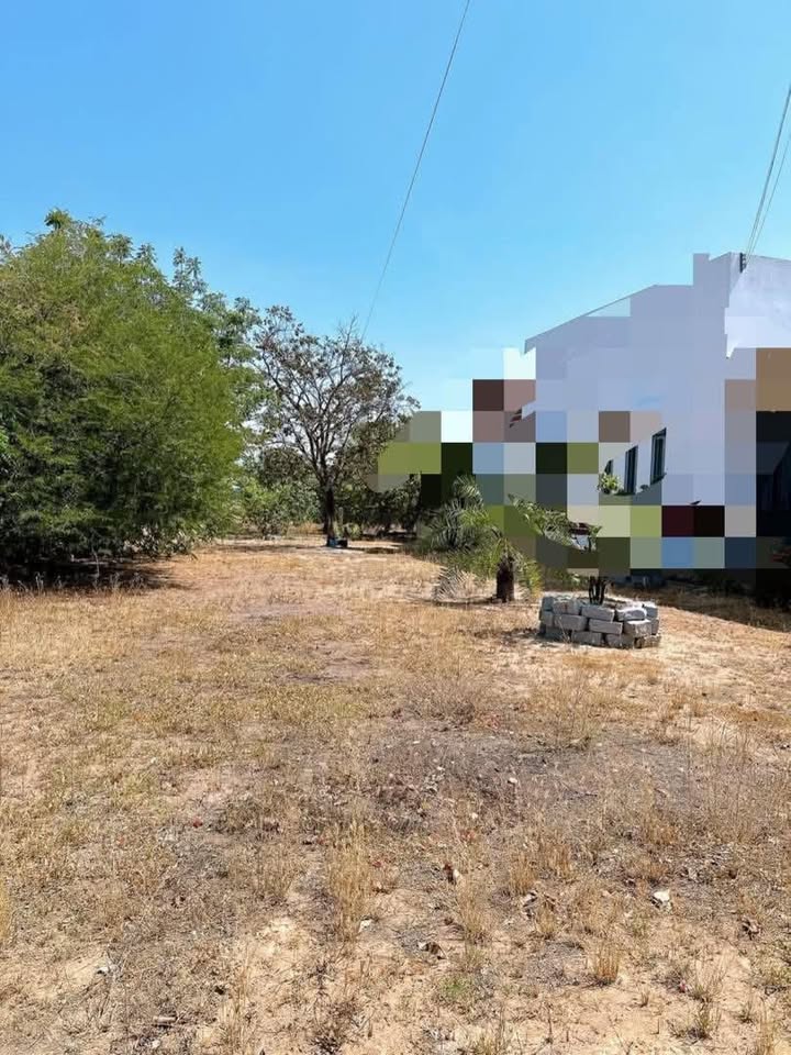 Đất Thổ Cư 180m² Mặt Tiền Hồ Tùng Mậu, Ninh Thuận - Giá Tốt