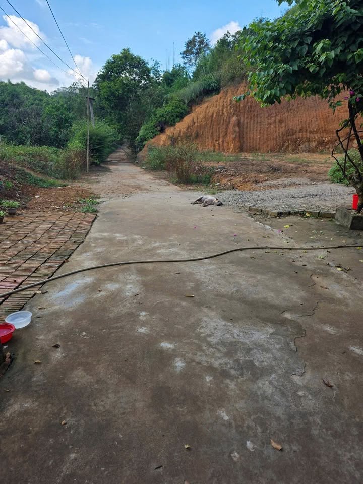 Đất 100m² Sổ Đỏ Phường Đồng Tâm, Yên Bái - Giá 5xx Triệu