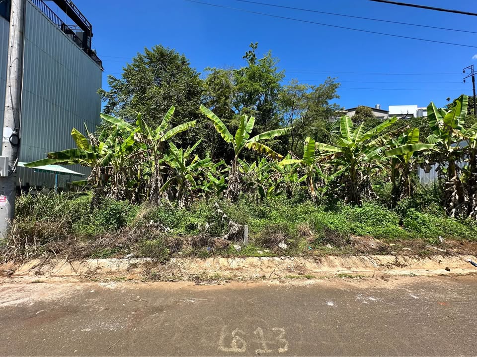 Đất Nền Bảo Lộc 95m² Full Thổ Cư - View Núi Đại Bình