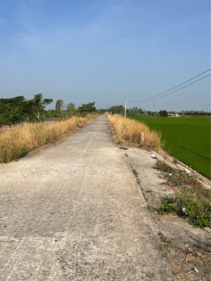 Đất lúa 8 công Vĩnh Ngươn Châu Đốc 2.64 tỷ - Pháp lý rõ ràng