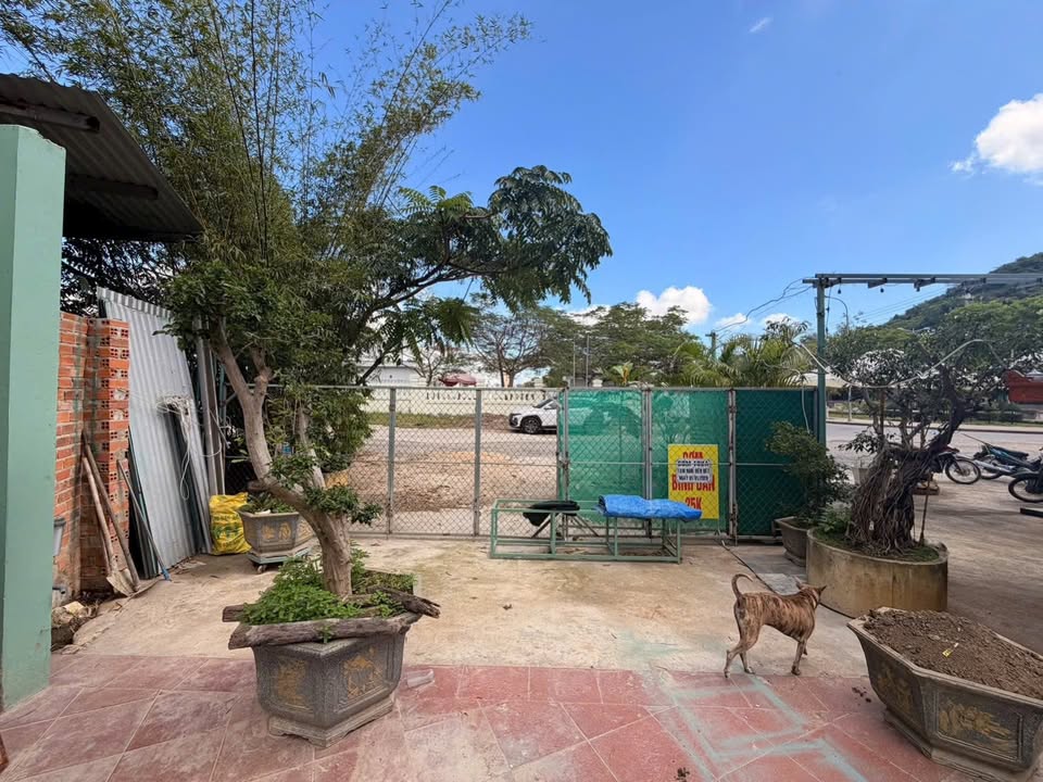 Đất nền Phước Đồng Nha Trang 87m² giá 6.5 tỷ - Sổ đỏ chính chủ!