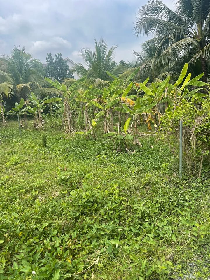 Đất Nền 154m² Ninh Lộc, Hơn 300 Triệu - Sổ Đỏ Sẵn