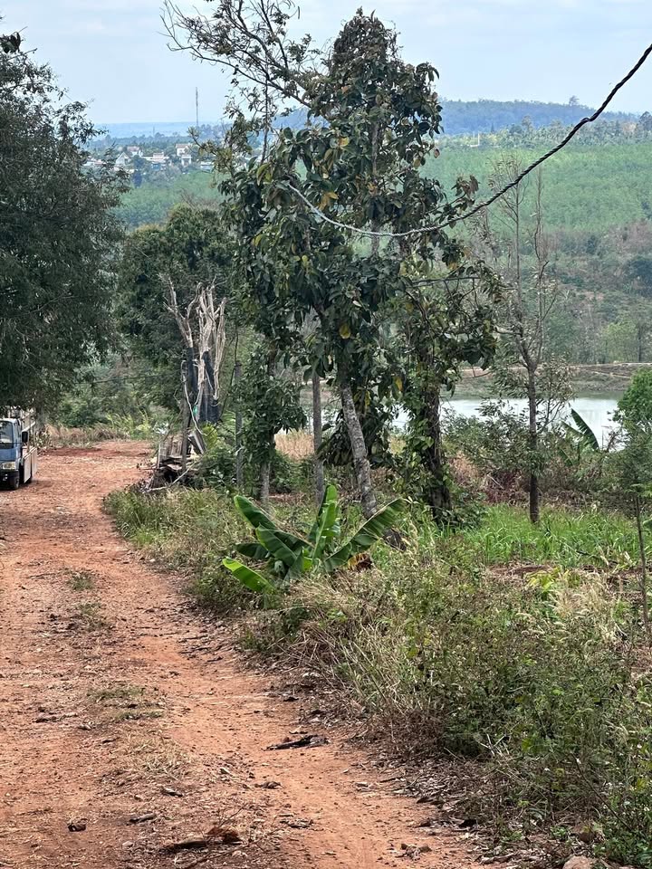 Đất nền Sông Cầu 500m² sổ đỏ chính chủ - Giá chỉ 1.35 tỷ!