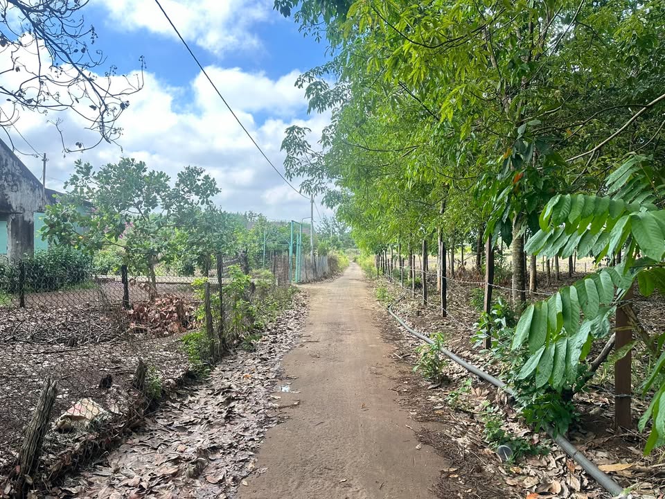 Đất Nền Bù Đốp 609m² - Sổ Đỏ Chính Chủ, Giá 350 Triệu