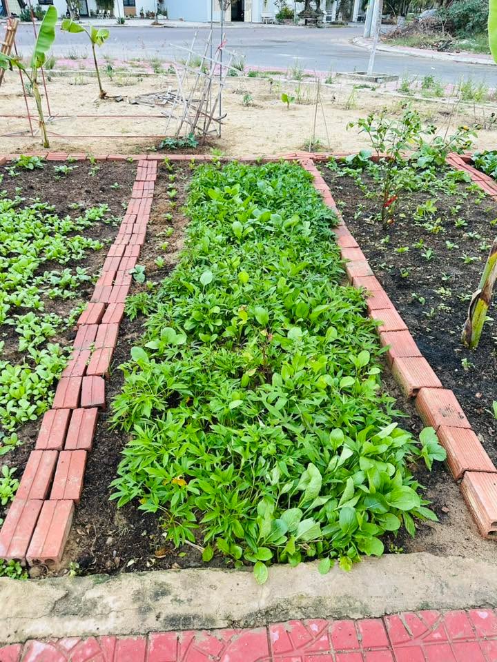 Đất Nền Mặt Tiền 20m, Quy Nhơn - Sổ Đỏ Lâu Dài, 100m²