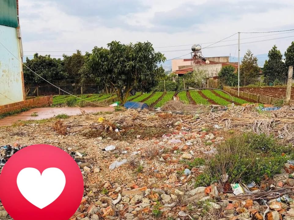 Đất nền Đạ Ròn, Đơn Dương 500m² - Đất thổ cư 100%