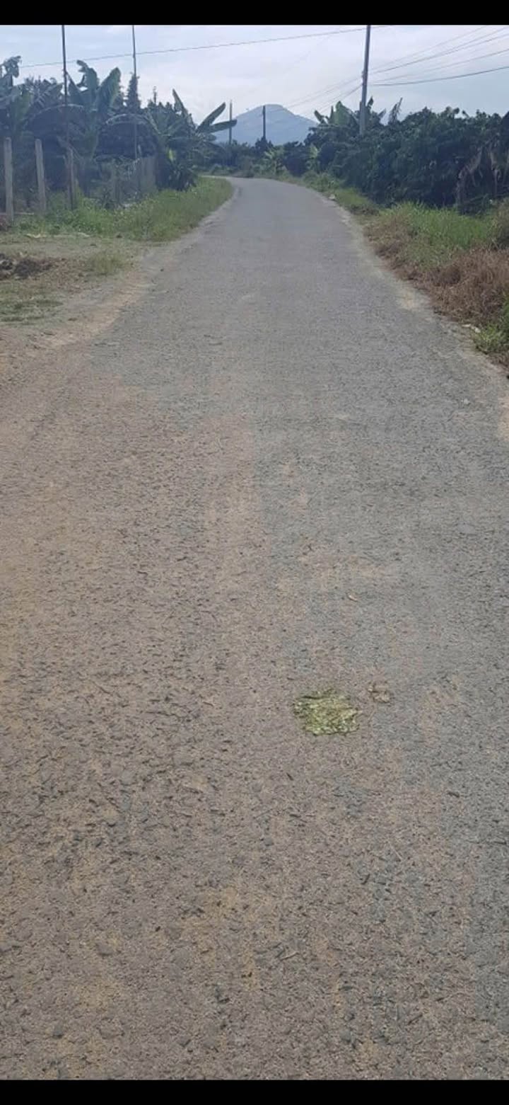 Đất nền Thôn 10 Hòa Nam, Di Linh 2000m² - Sổ đỏ chính chủ!