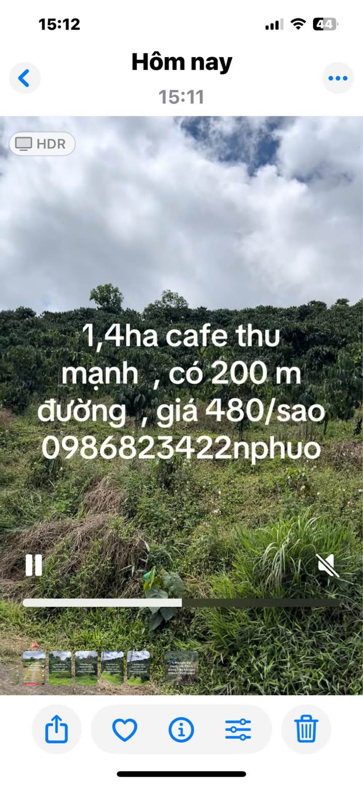 Bán 1.4ha Đất Vườn Trồng Cafe Tại Đại Lào, Bảo Lộc - Nguồn Thu Ổn Định