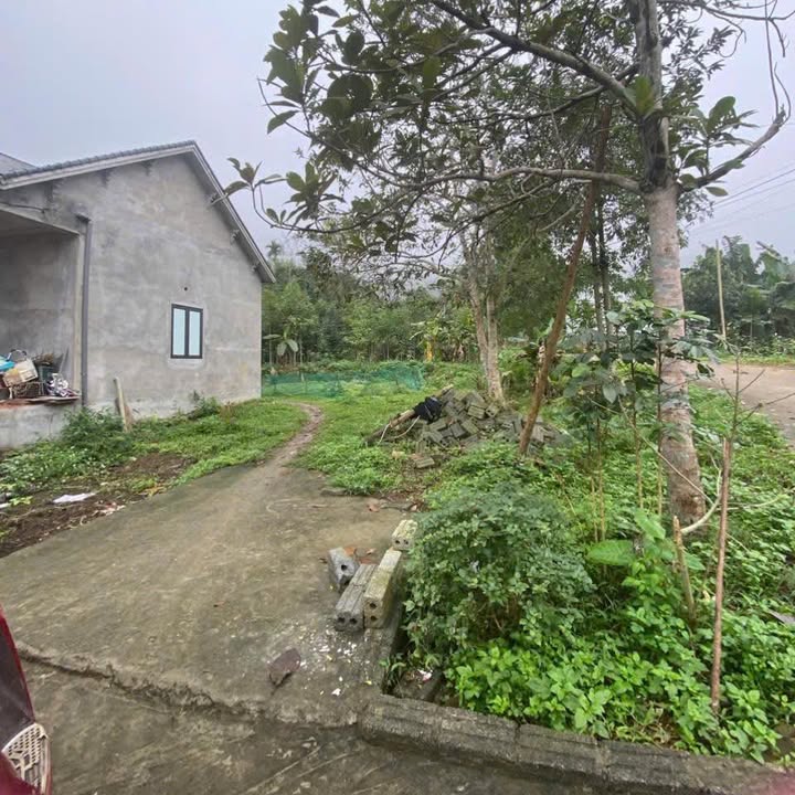 Đất nền Phú Thọ 400m² - Sổ đỏ thổ cư, giá chỉ 400 triệu