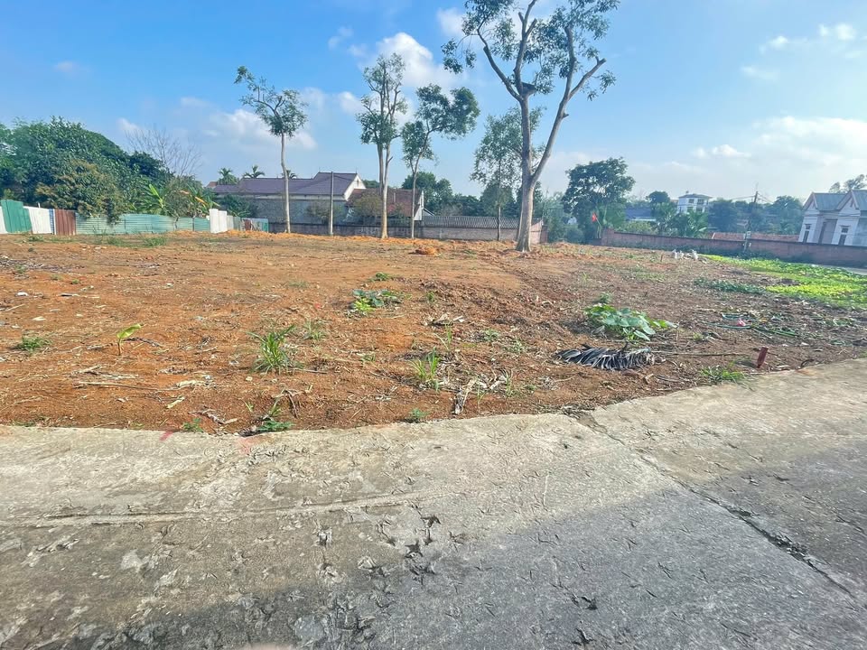 Đất nền Khu 4 Thanh Đình, Việt Trì 91m² giá 800 triệu - Sổ đỏ chính chủ!