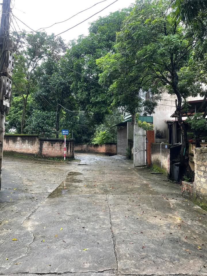 Đất nền Việt Trì 105m² dưới 2 tỷ - Sổ đỏ chính chủ, ô tô tận cửa!