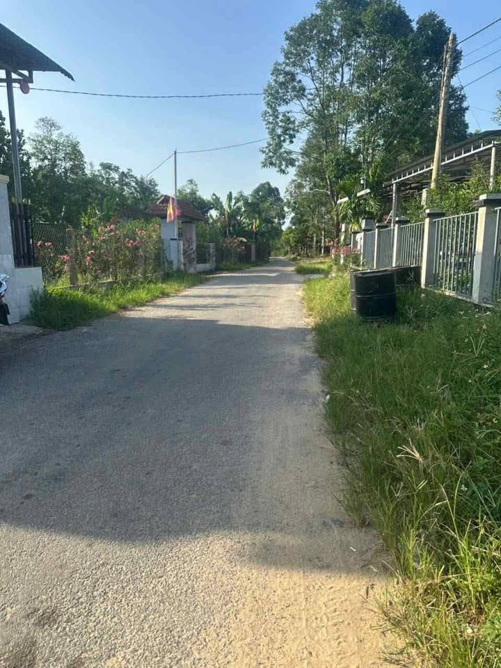 Bán Đất Thôn An Hà, Phú Lộc 196m² - Giá Tốt Đầu Tư