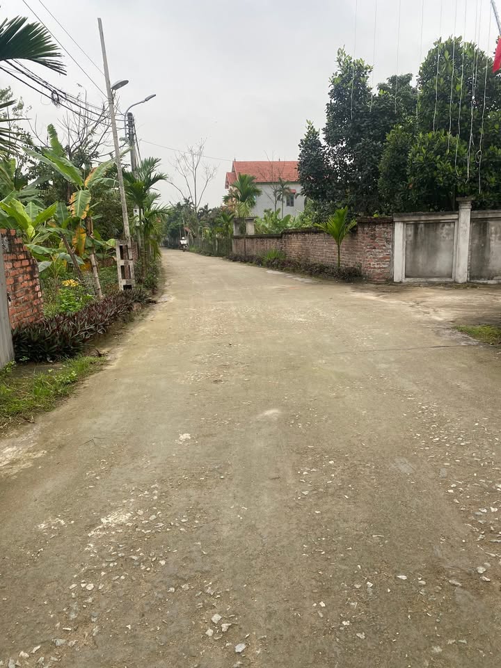 Đất nền Thôn Nam Văn Quán 160m² 1.28 tỷ - Đường to ô tô