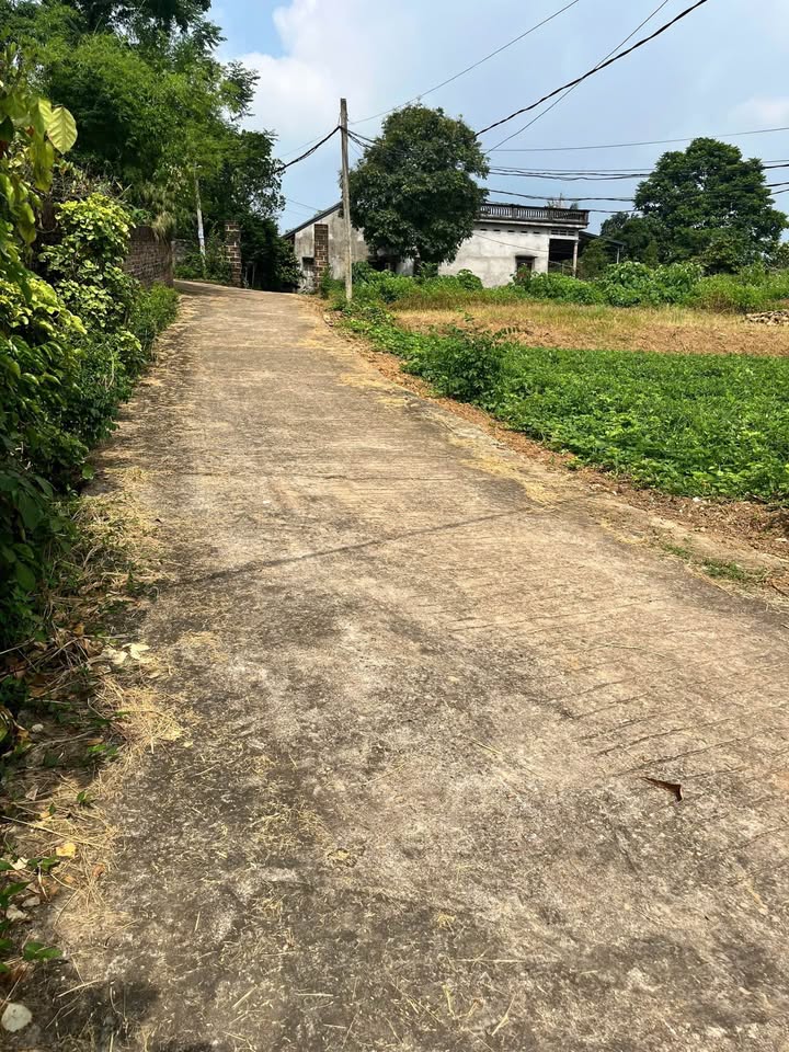 Đất nền Đông Thành, Thanh Ba 137.7m² - Tiềm năng tăng giá vượt trội!