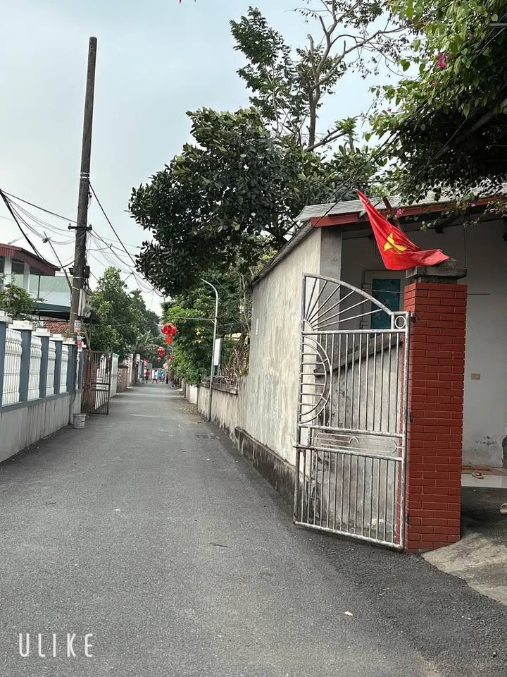 Bán Nhanh 3 Lô Liền Kề 122.5m² Đường Appan, Việt Trì - Giá Đầu Tư