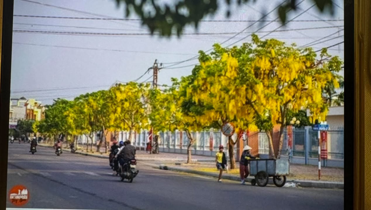 Đất nền Tây Sơn 400m² - Tiềm năng tăng giá vượt trội!