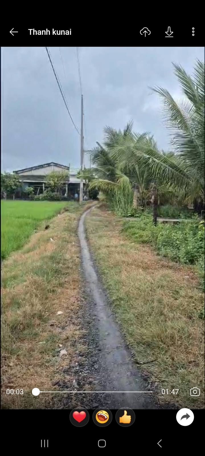 Đất Vườn Long An 489m² - Sổ Hồng Riêng - Gần KCN Tú Phương