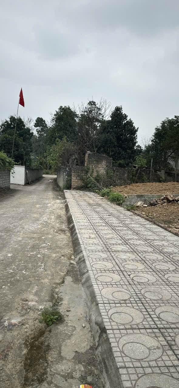 Bán Gấp Đất Nền 154.9m² Tiên Kiên, Lâm Thao - Sổ Đỏ Rõ Ràng