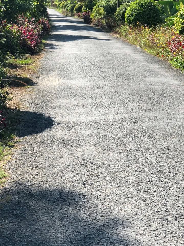 Đất nền Hòa Định Chợ Gạo 142m² giá 550 triệu - Sổ đỏ chính chủ