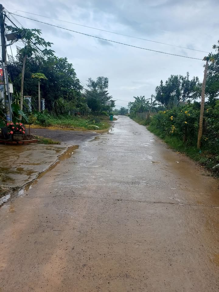 Bán Đất Xã Tân Văn Lâm Hà 240m² - Sổ Đỏ Rõ Ràng, Giá 1.9 Tỷ